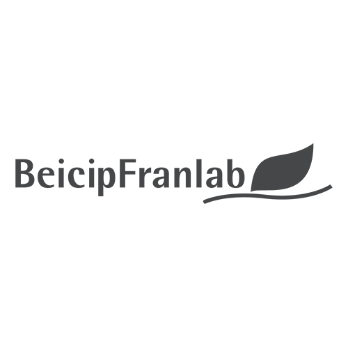 Logo beicip